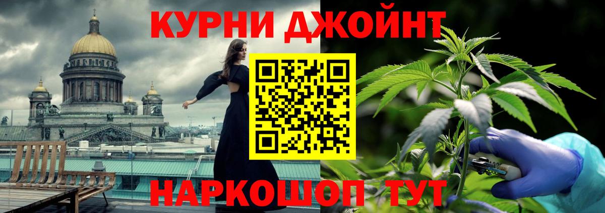 Канабис план  Конопля White Widow  Мценск  Вход с VPN 